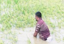 বাঘায় বন্যায় ৬০০ পরিবার পানিবন্দী, তলিয়ে গেছে ফসল, দিশেহারা কৃষক, সরিয়ে নেয়া হচ্ছে ঘর-বাড়ি